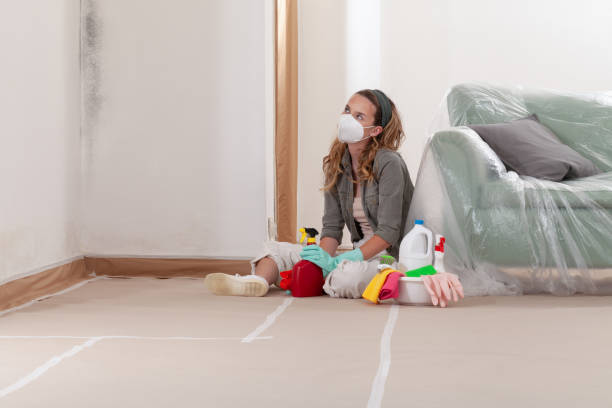 Reliable Black Mold Removal contractor in Marlboro, NJ by WQB Mold Removal